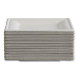 Eco-Products® Vanguard Renewable and Compostable Sugarcane Plates, 6 x 6, White, 500/Carton (ECOEPP021NFA) Case of 500