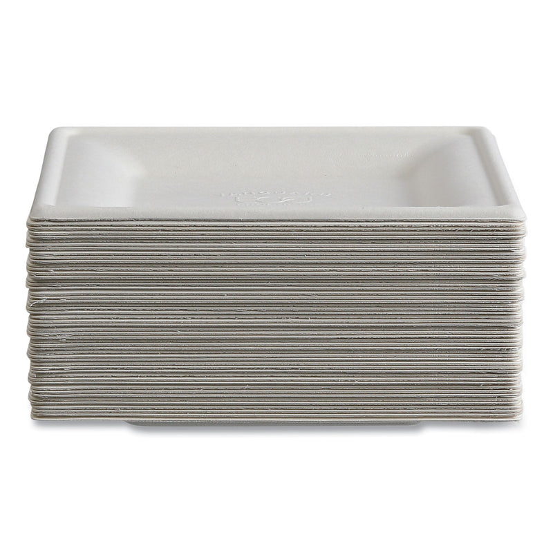 Eco-Products® Vanguard Renewable and Compostable Sugarcane Plates, 6 x 6, White, 500/Carton (ECOEPP021NFA) Case of 500