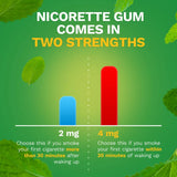 Nicorette® Stop Smoking Aid 4 mg Strength Gum (1230560_CT) 100/CT