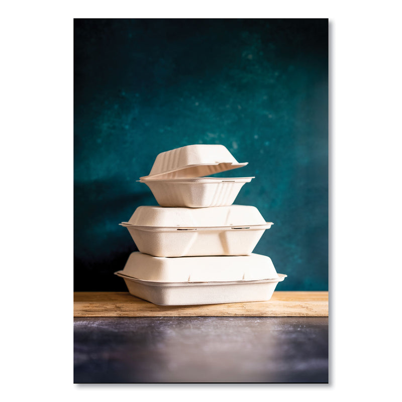 Vegware Nourish Molded Fiber Takeout Containers, 5 x 9 x 2, White, Sugarcane, 250/Carton (VEGWHHOAGIE) Case of 250