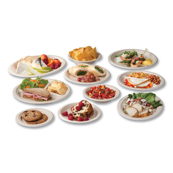 Vegware Molded Fiber Tableware, Plate, 6" Diameter, White, 1,000/Carton (VEGWHBRG06) Case of 1000
