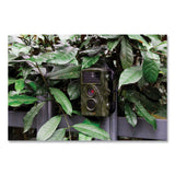 TECHNAXX Nature Wild Cam TX-69, 1920 x 1080 Pixels (TAX4719) Each