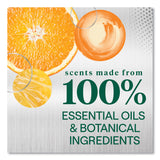 Seventh Generation Foaming Dish Spray, Mandarin Orange Scent, 16 oz Bottle, 6/Carton (SEV45169CT) Case of 6