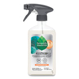 Seventh Generation Foaming Dish Spray, Mandarin Orange Scent, 16 oz Bottle, 6/Carton (SEV45169CT) Case of 6