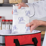 Nordic Ice® Refrigerant Gel Pack For Safe Transport of Food, Pharmaceuticals and Medical Products (1138690_CS) 18/CS