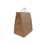 Solupac Take Out Twist Handle Bag, 12 x 9 x 15.75, Natural Kraft, 200/Carton (TDPTKNTAOUDE) Case of 200
