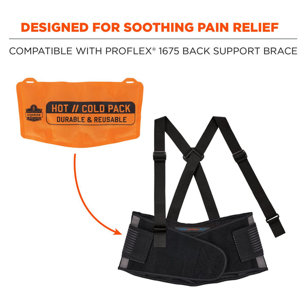 Ergodyne ProFlex 6275 Reusable Hot/Cold Pack Replacement, 13 x 6.7, 2/Pack (EGO12212) Pack of 2