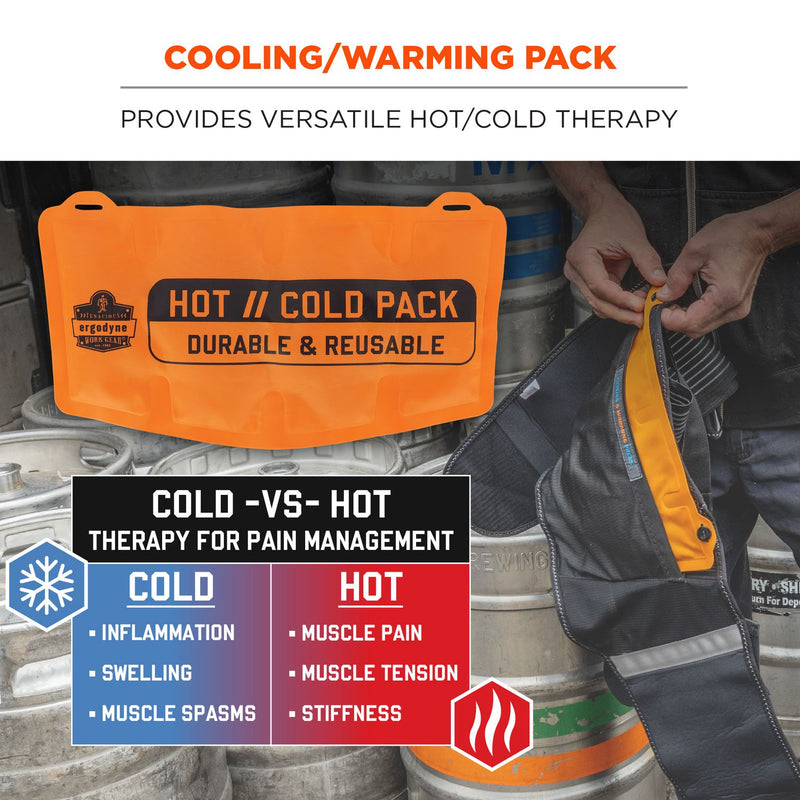 Ergodyne ProFlex 6275 Reusable Hot/Cold Pack Replacement, 13 x 6.7, 2/Pack (EGO12212) Pack of 2