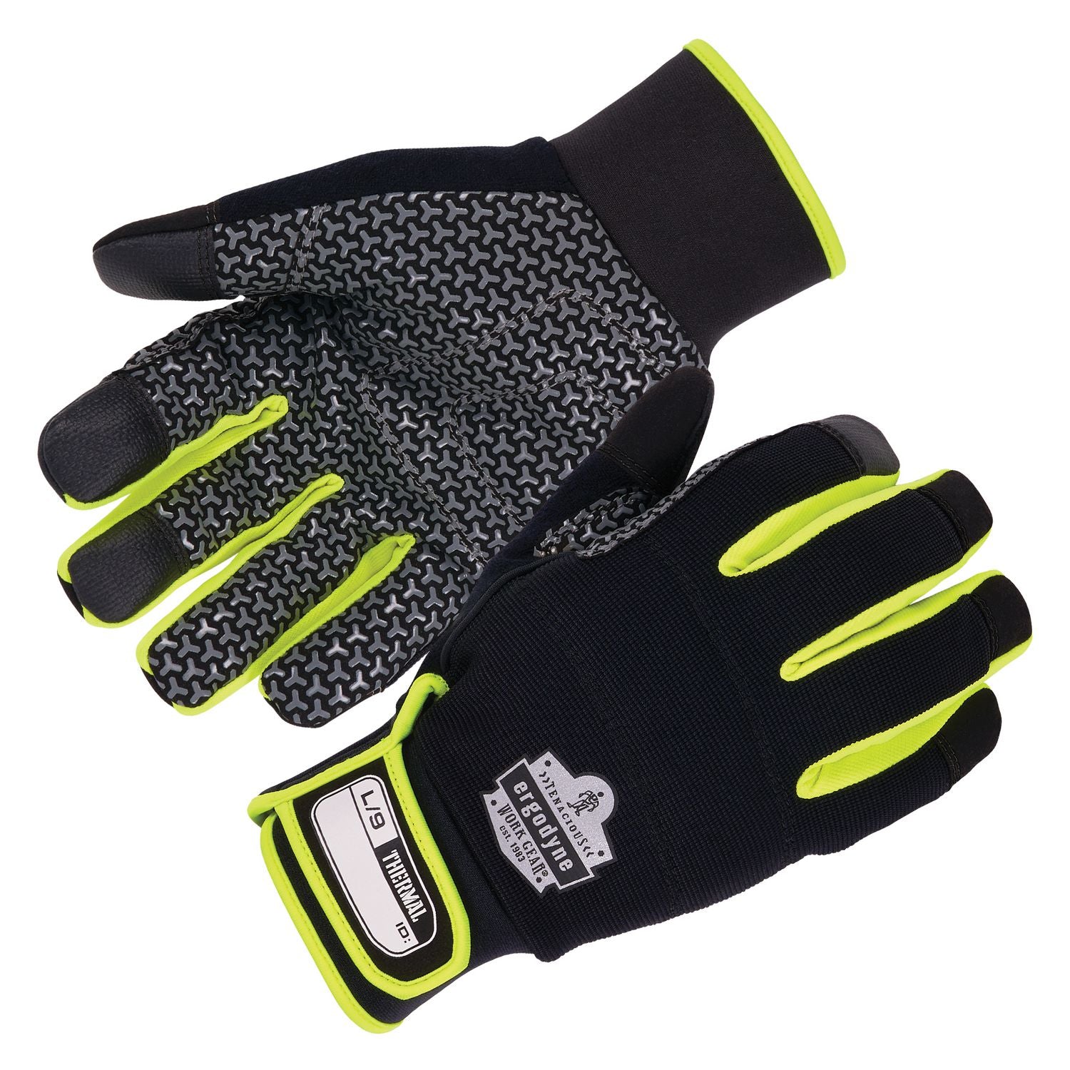 Ergodyne ProFlex 850 Insulated Freezer Gloves, Black, 2X-Small, Pair ...