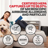 Honeywell Filter G True HEPA Air Purifier Filter, 1.5 x 10 (HWLHRFG1) Each