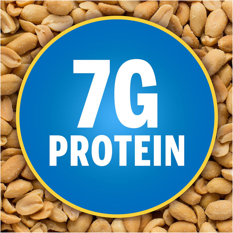 Planters Salted Peanuts, 1 oz Pouch, 48/Box, 2 Boxes/Carton (GRR60004074) Case of 96