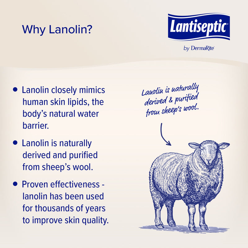 Lantiseptic® Moisture Shield Skin Protectant 4 oz. Tube Lanolin Scent Ointment (892679_EA) 1/EA
