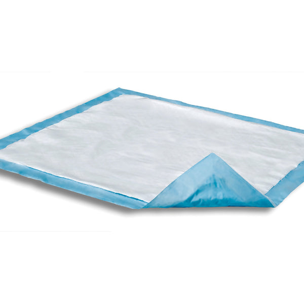 Attends® Care Dri-Sorb® Disposable Underpad 30 X 30 Inch Cellulose / Polymer Heavy Absorbency (955054_BG) 10/BG