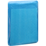 Attends® Care Dri-Sorb® Disposable Underpad 23 X 24 Inch Cellulose / Polymer Heavy Absorbency (419783_CS) 20/CS