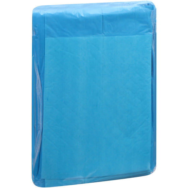 Attends® Care Dri-Sorb® Disposable Underpad 23 X 24 Inch Cellulose / Polymer Heavy Absorbency (419783_CS) 20/CS