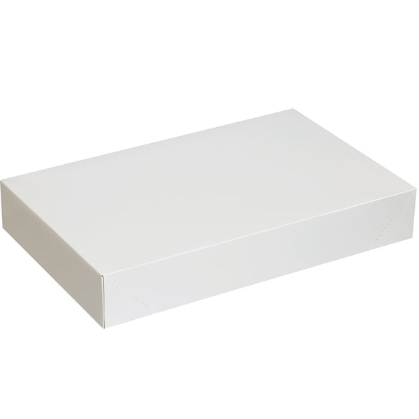 24 x 14 x 4" White Apparel Boxes (AB241474W) Case Of 25