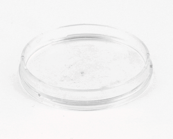 AccuTemp At0H-3544-1 2 Lense Cover - Snh Steamer S/N: 14123 & (ACCAT0H-3544-1) Each