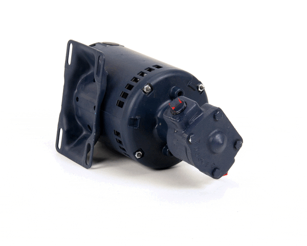 Anets 60130806 Pmp,5 Gpm Assembly .3Hp 115/220V (ANE60130806) Each