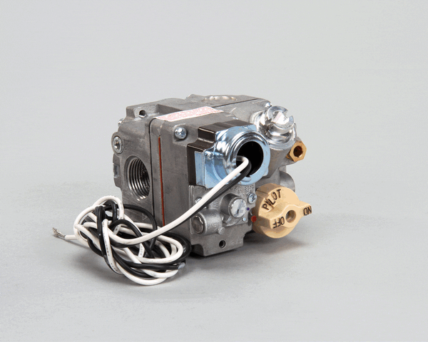 Anets P5045651 Valve,Gas 3/4 Bmser 120V Tpile N (ANEP5045651) Each