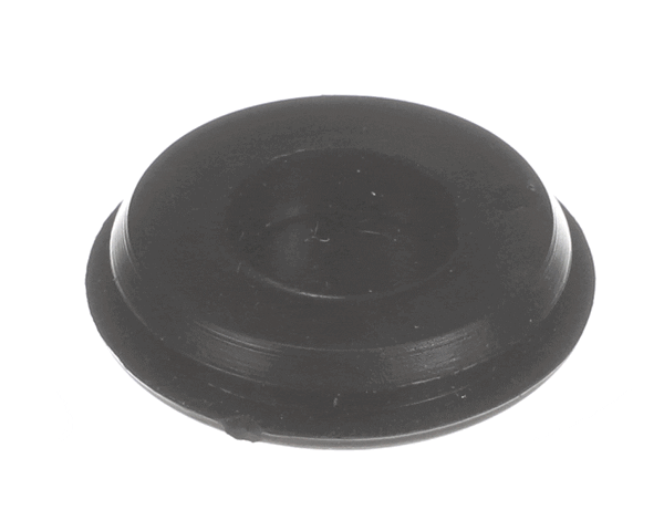 Anthony International 20-12754-0001 Torquemaster Hole Plug (ANT20-12754-0001) Each