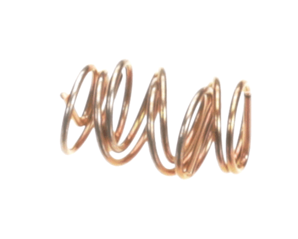 Anthony International 40-15095-0006 Spring Hinge Pin (ANT40-15095-0006) Each