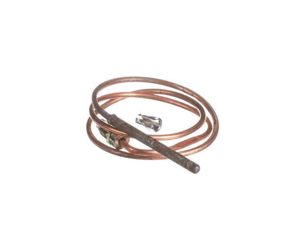 AO Smith Water Heater 100108267 Thermocouple (AOSM100108267) Each