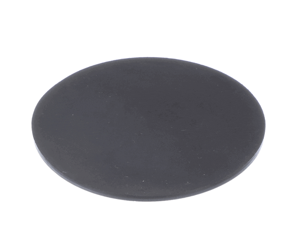 AO Smith Water Heater 100338896 Gasket (AOSM100338896) Each