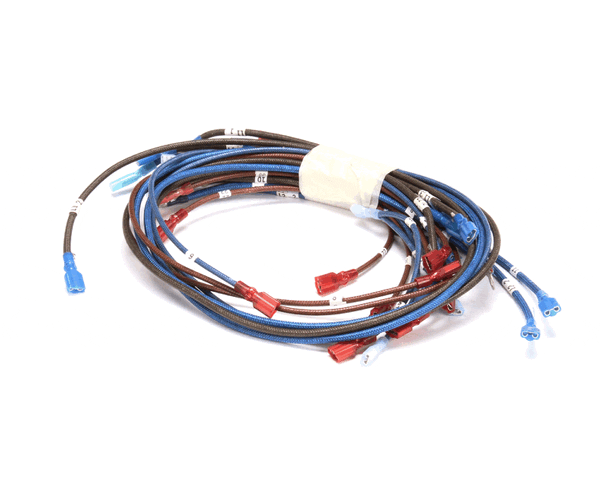 APW Wyott 2E-21851492 Harness (APW2E-21851492) Each
