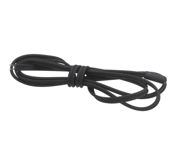 ATOSA W0302200 PROBE FOR SBB48GGR (ATSAW0302200) Each