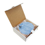 Hospeco® AirWorks® Urinal Screen, 10/Box, Eucalyptus (HOSAWUS001-BX) Box of 10