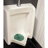 Hospeco® AirWorks® Urinal Screen, 10/Box, Evergreen (HOSAWUS005-BX) Box of 10