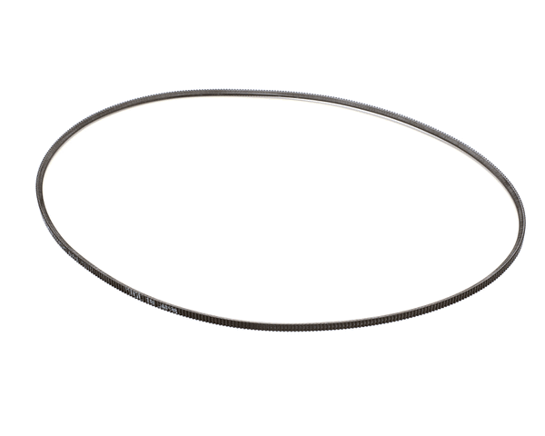 Axis 73-8466 Belt (AXS73-8466) Each