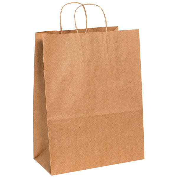 13 x 7 x 17" Kraft Paper Shopping Bags (BGS106K) Case Of 250