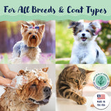 Bobbi Panter® Signature Itchy Dog Spray, Tea Tree/Lavender (8oz), 12/Case (HOSBP00015-CS) Case of 12