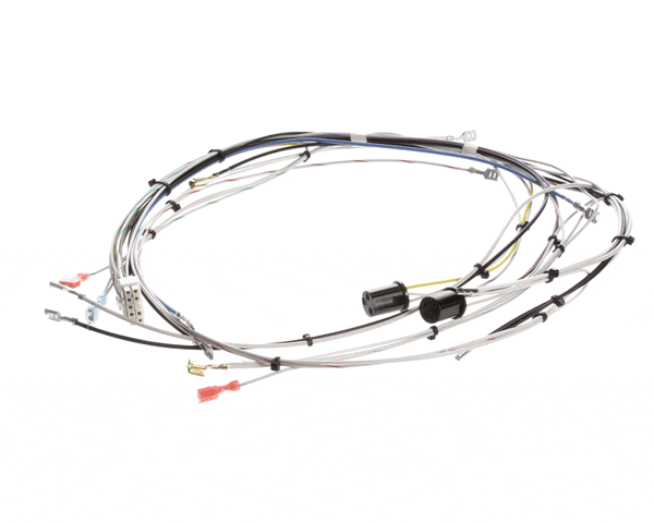 Bunn 29072.0000 Wiring Harn,Main-Cdbc 120V (BU29072-0000) Each