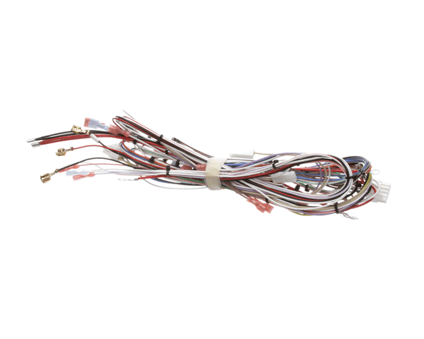 Bunn 33634.0040 Wiring Harn,Main- Dual Sh (BU33634-0040) Each