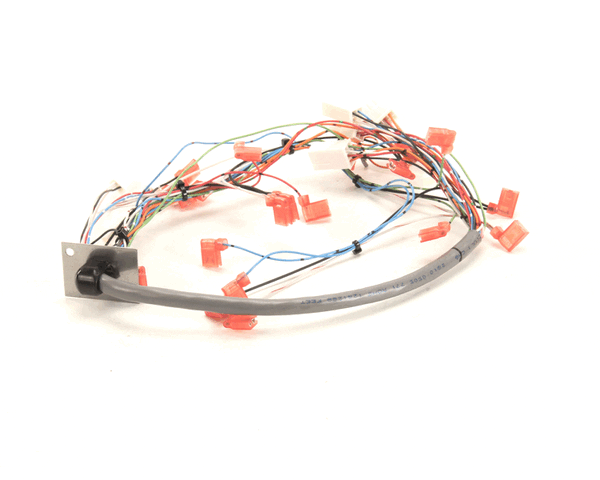Bunn 34985.0000 Wiring Harn, Door I/C Fmd-5 (BU34985-0000) Each ...