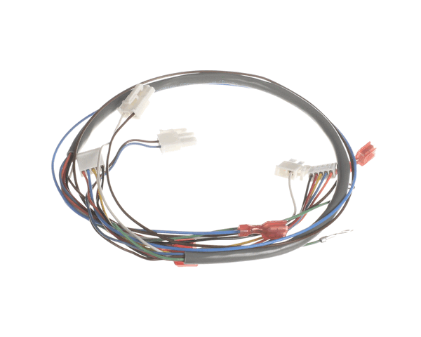 BUNN 41202.0012 WIRING HARN, DOOR PC-JUICE (DISP SW) (BU41202.0012) Each