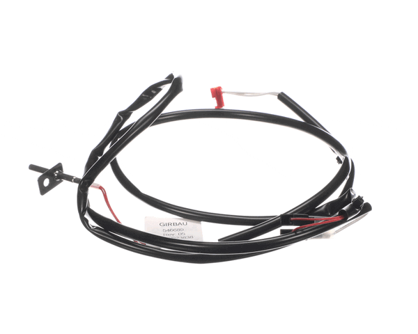 CONTINENTAL GIRBAU 546689 INST. ELEC. SONDA TEMPERATURA ENTRADA (CGIB546689) Each