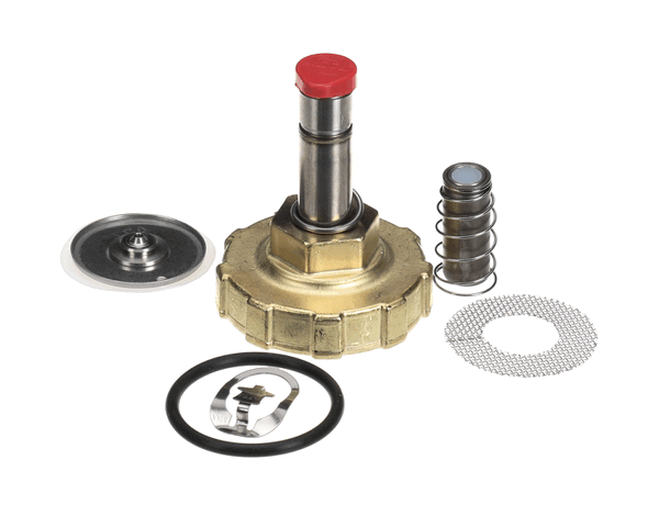 CISSELL F8379501P KIT VALVE REBUILD (1/2") (CISF8379501P) Each