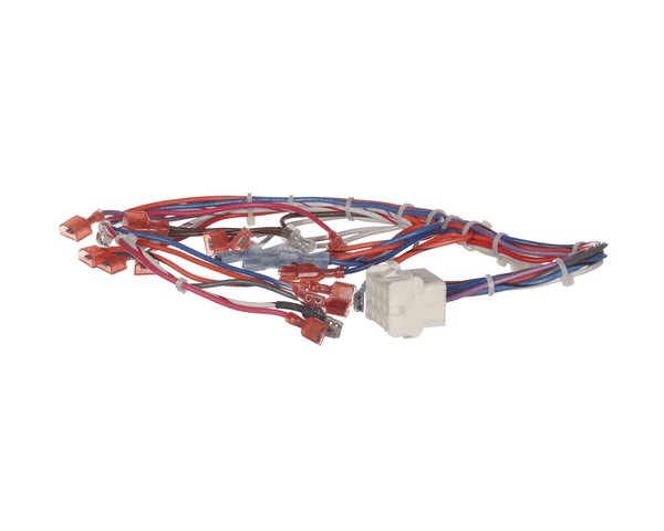 Cleveland Wht300984 Cntrl Panel Harness; 22C Gt3 (CLEWHT300984) Each