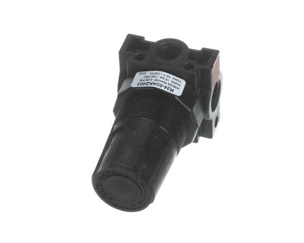 CONVOTHERM 113229 REGULATOR;PRESS;0-60 PSIG PLSTC BODY (COV113229) Each