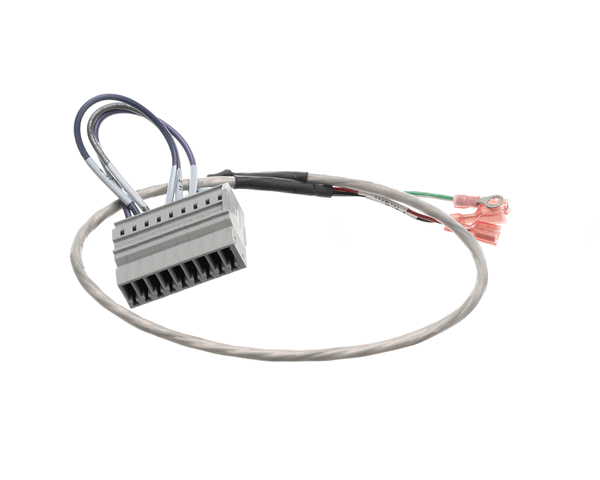 Convotherm 300772 Cable Assembly,3Ph Motor, Ms6.10 (COV300772) Each