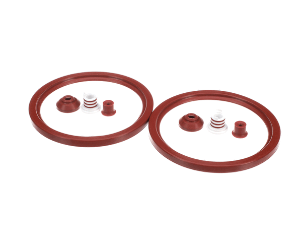 V AIR SL310R00139 SERVICE KIT 1YEAR WILBUR CURTIS (CRHSL310R00139) Each