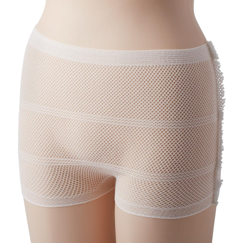 Protection Plus Mesh Incontinence Underpants, Single Use, Size L, for Waist Size 30"-45", 1/EA  (MBP3202H) Each