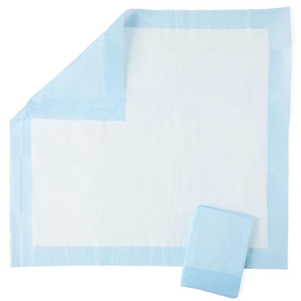 Protection Plus Underpad, Light Absorbency, 23" x 24", Blue, Bulk Packaged, 200/CS (MSC281225) Case of 200