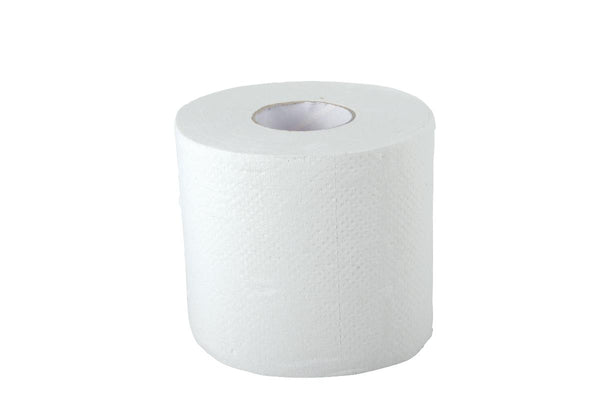 Standard 2-Ply Toilet Paper, 4" x 4", 1/RL (NON27800H) 1 Roll