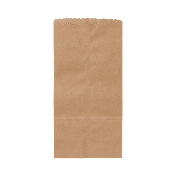 Brown Paper Bag, #10, 6.5" x 4" x 13", 500/PK (NONBPB10) Pack of 500