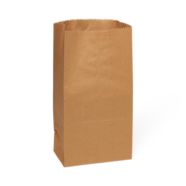 Brown Paper Bag, #20, 8.5" x 5" x 16", 500/PK (NONBPB20) Pack of 500