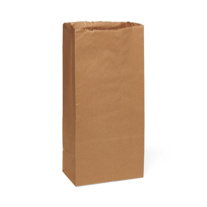Brown Paper Bag, #25, 8.5" x 5" x 18", 500/PK (NONBPB25) Pack of 500